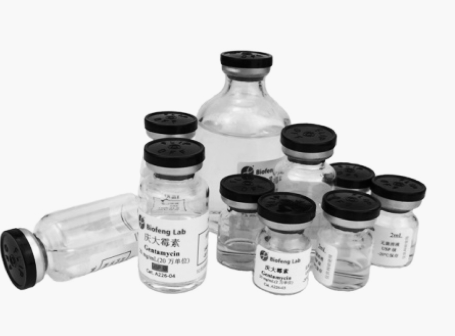 AG真人APP下载_AG真人·「中国」官方网站